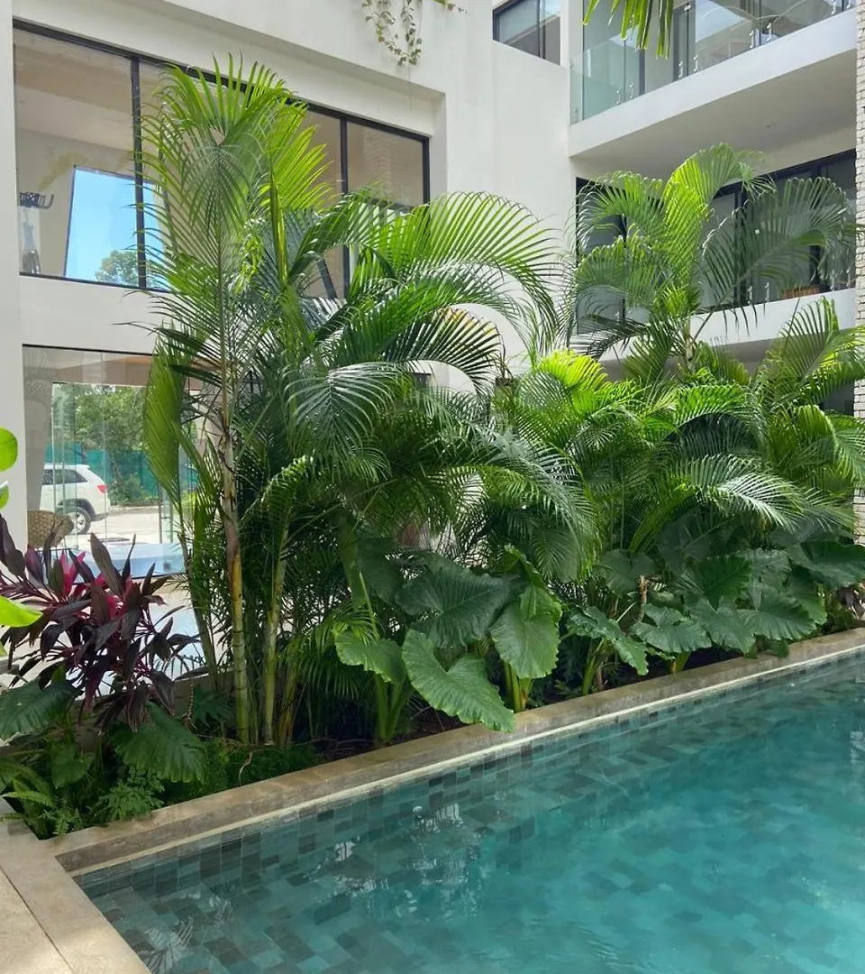 Incredible Condo For 10 Tulum Apartment